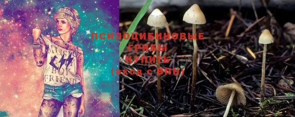 гидропоника Зеленокумск